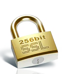 TeamViewer is superveilig