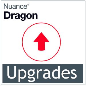 Dragon Upgrades
